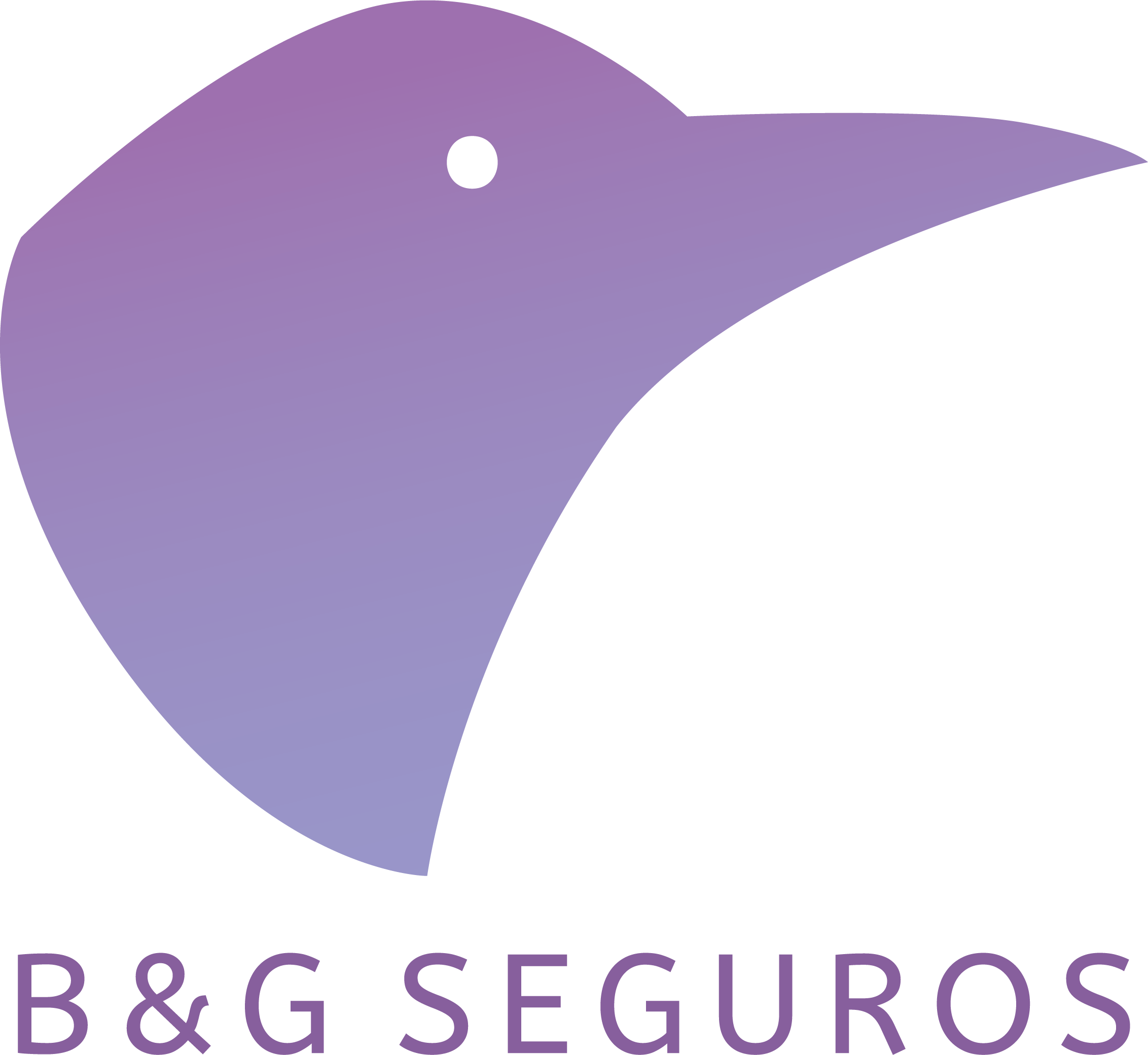 B&G SEGUROS